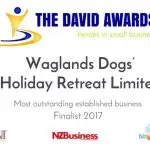 The David Award - Most Oustanding established business Finalist 2017